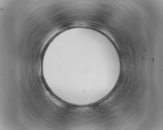 X0000070371131200607072122