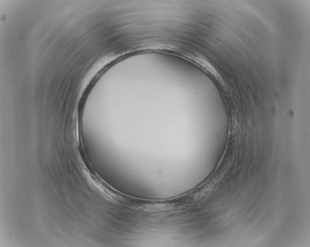 X0000070371132200607072122