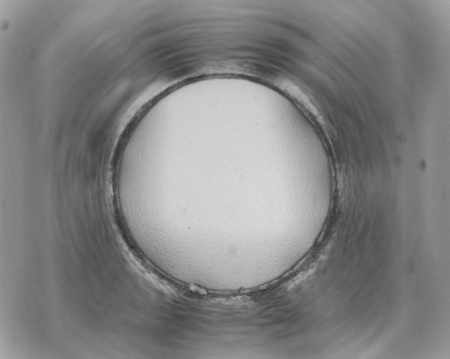 X0000070371133200607072122