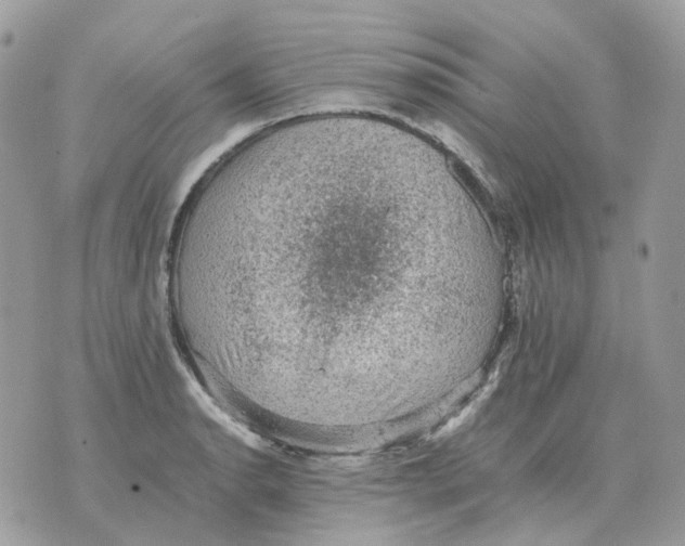 X0000070371134200607072122