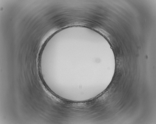 X0000070371135200607072122