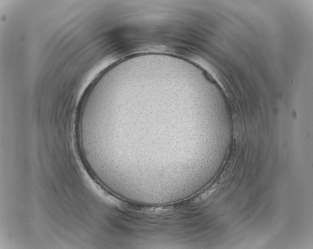 X0000070371139200607072122