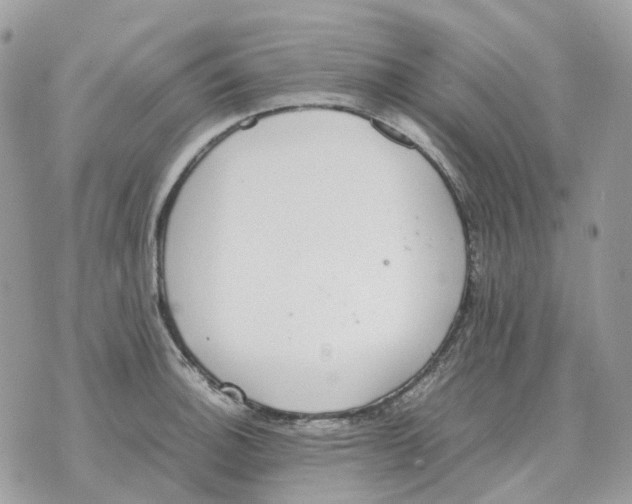 X0000070371140200607072122