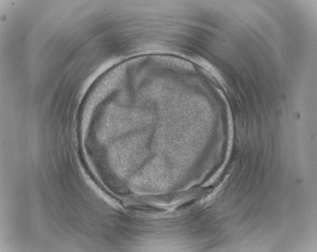 X0000070371142200607072122