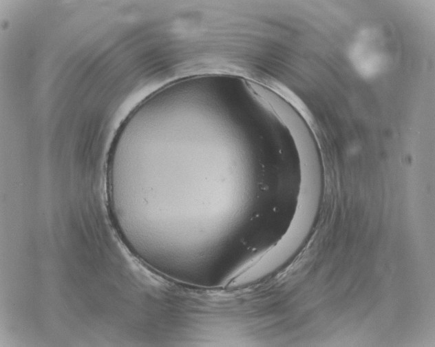 X0000070371144200607072122