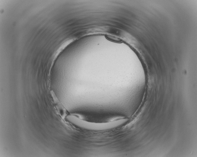 X0000070371145200607072122