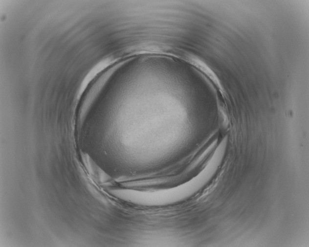 X0000070371146200607072122