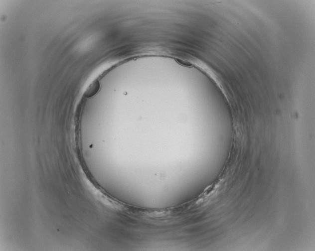 X0000070371147200607072122