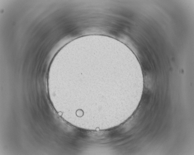 X0000070371150200607072122