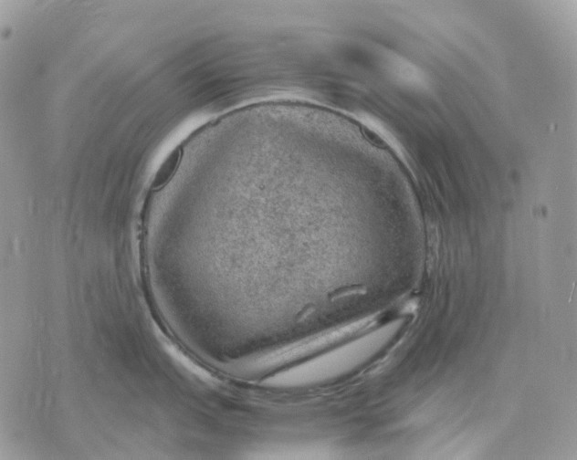 X0000070371151200607072122