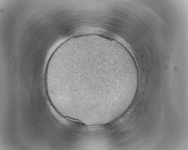 X0000070371152200607072122