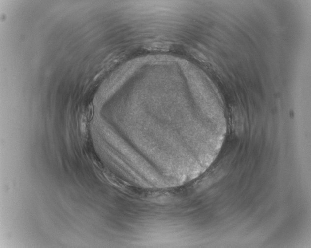 X0000070371154200607072121