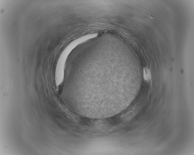 X0000070371155200607072121