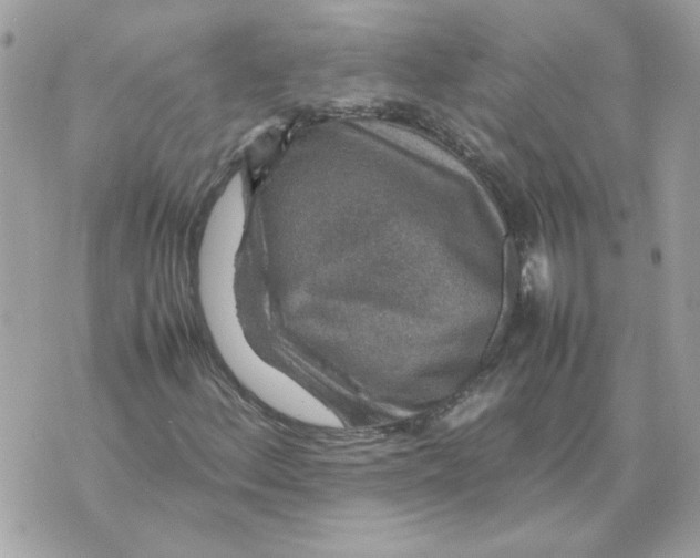 X0000070371156200607072121