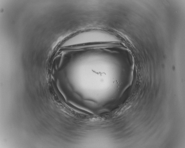 X0000070371160200607072121