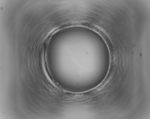 X0000070371161200607072121