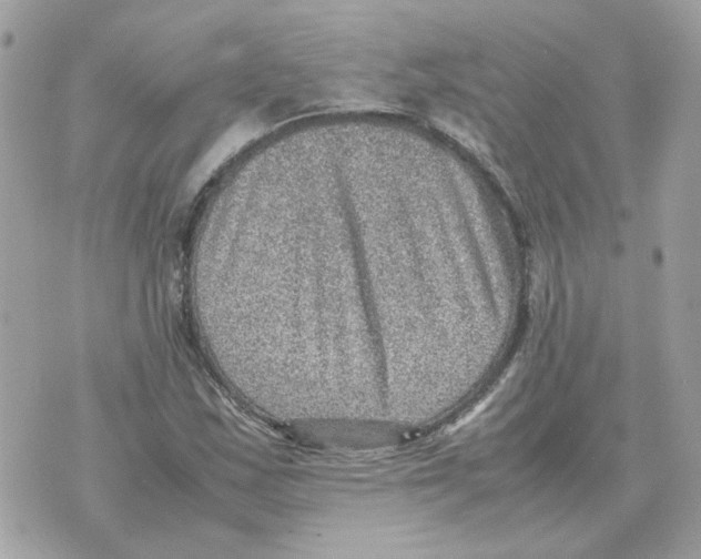 X0000070371163200607072121