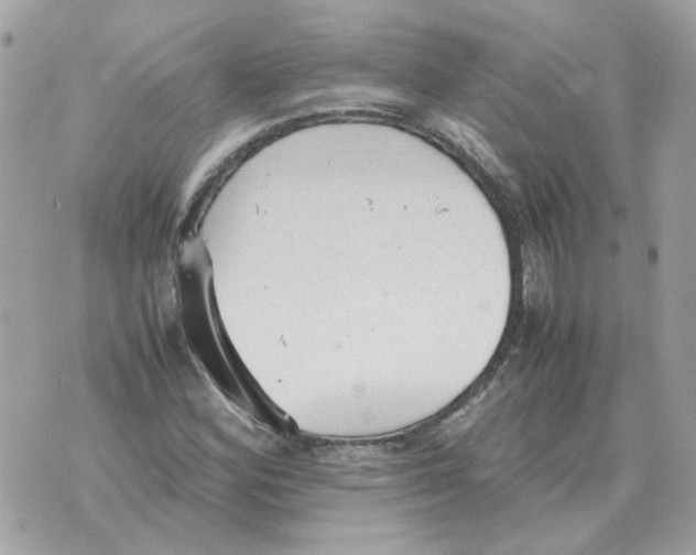 X0000070371164200607072121