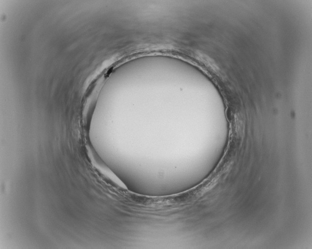 X0000070371165200607072121