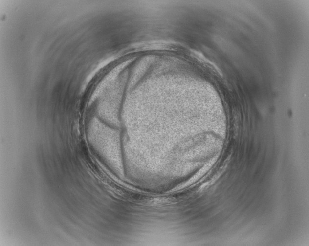 X0000070371166200607072121