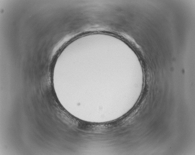 X0000070371167200607072121