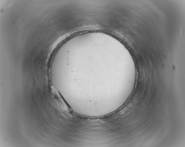 X0000070371168200607072121