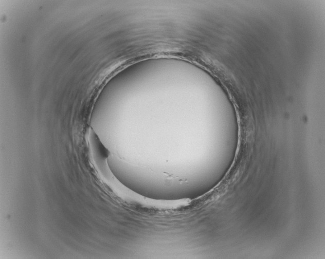 X0000070371169200607072121