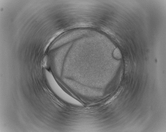 X0000070371170200607072121