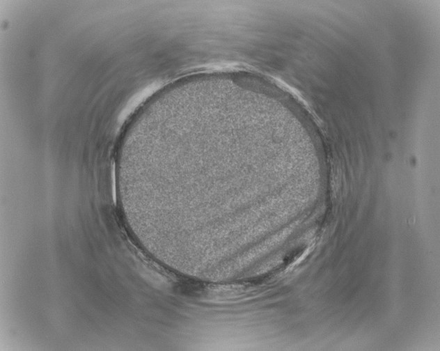 X0000070371171200607072121