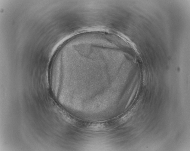 X0000070371174200607072121