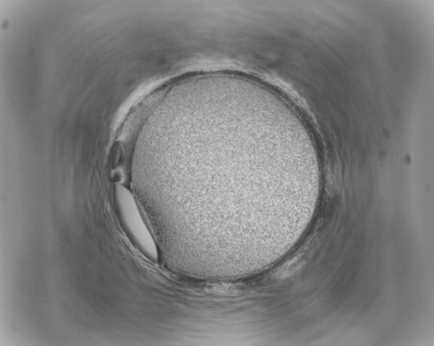 X0000070371175200607072121