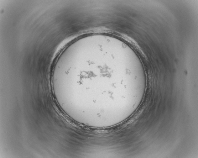 X0000070371176200607072121