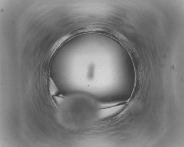 X0000070371177200607072121