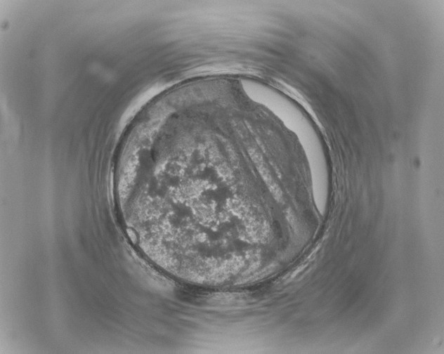 X0000070371179200607072121