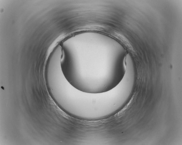 X0000070371180200607072121