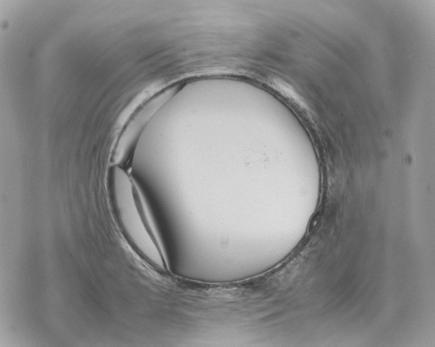 X0000070371181200607072121