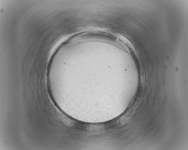 X0000070371183200607072121