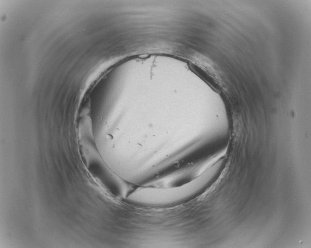 X0000070371184200607072121