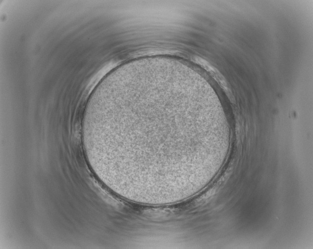 X0000070371185200607072121