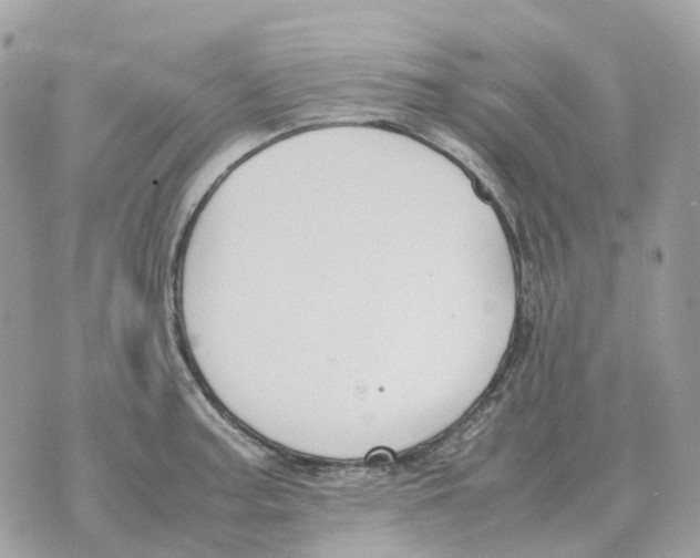 X0000070371187200607072121