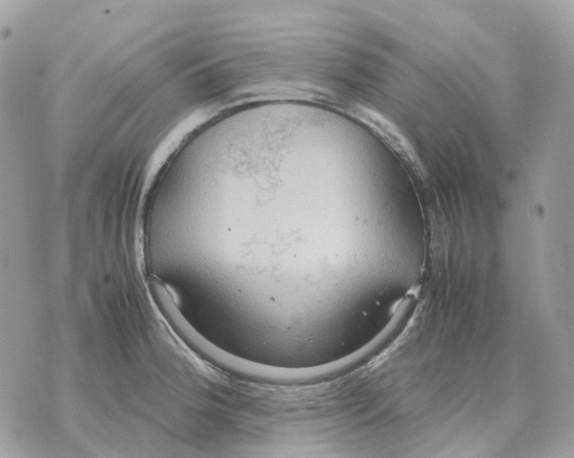 X0000070371188200607072121