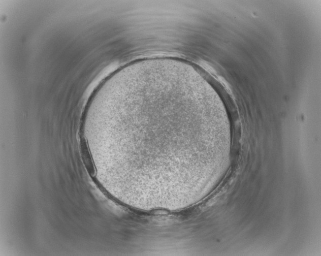 X0000070371189200607072121