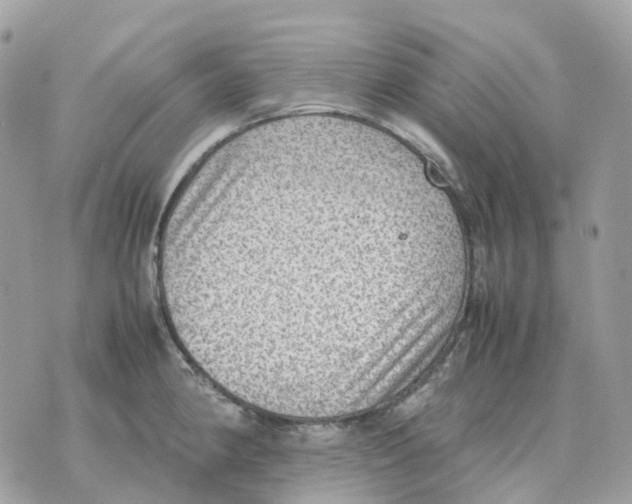 X0000070371190200607072121