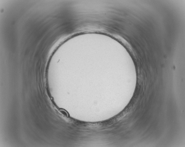 X0000070371191200607072121