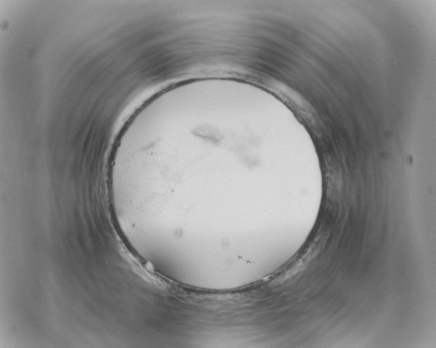 X0000070371192200607072121