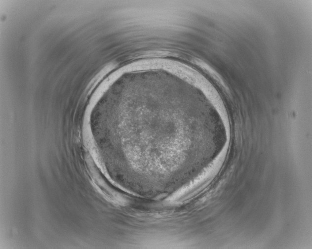 X0000070371193200607072120