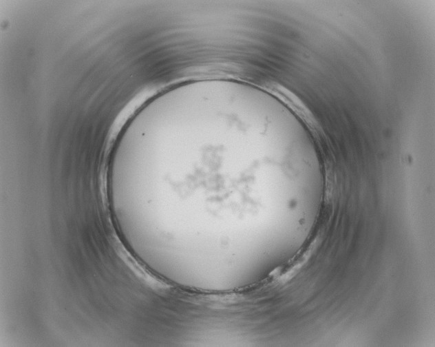 X0000070371196200607072120