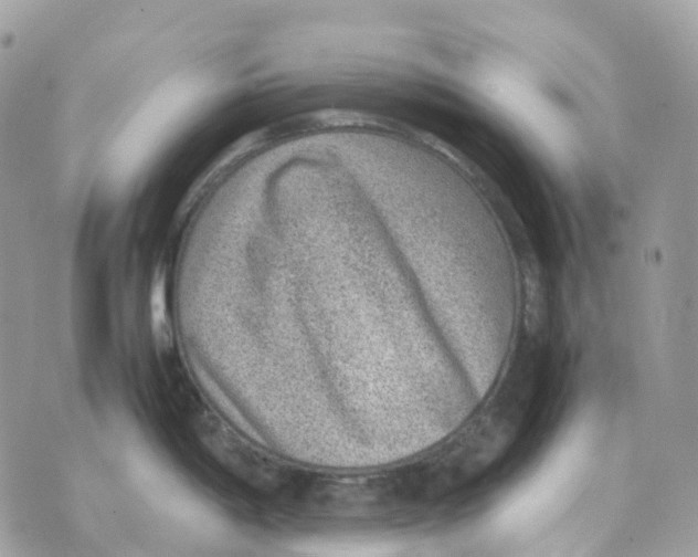 X0000070371198200607072120