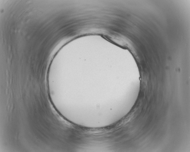 X0000070371199200607072120