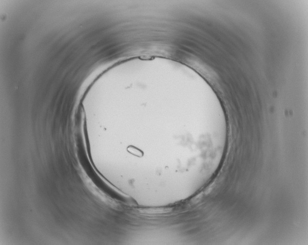 X0000070371200200607072120